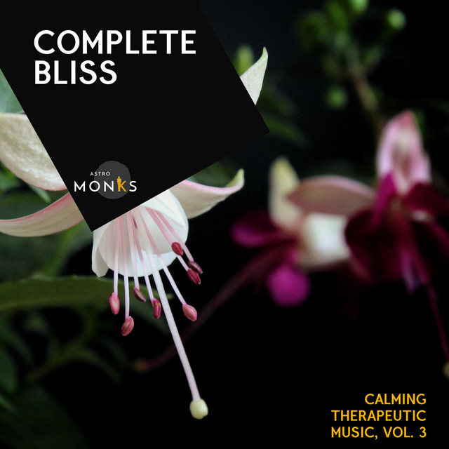 Complete Bliss - Calming Therapeutic Music, Vol. 3