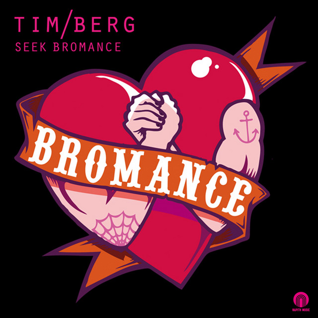 Seek Bromance - Avicii Vocal Edit