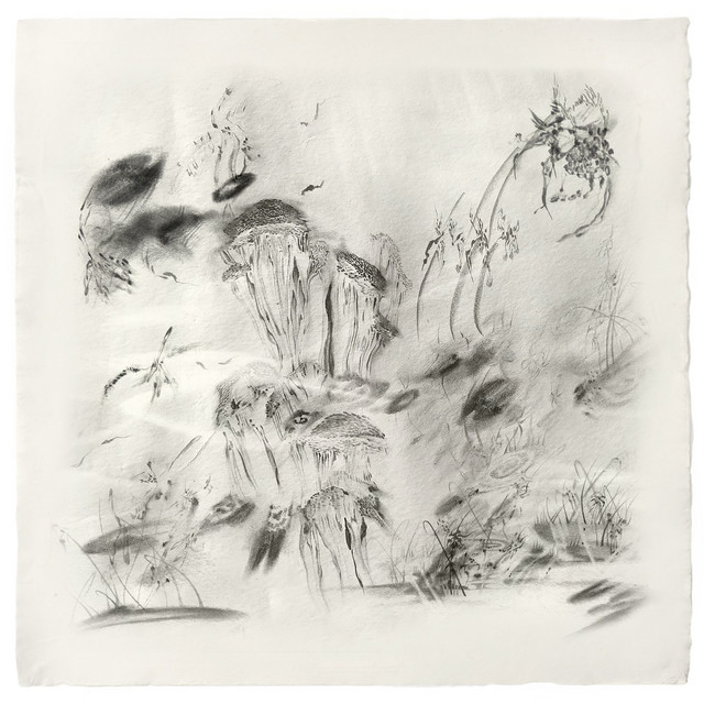 Cicada Lullaby cover art