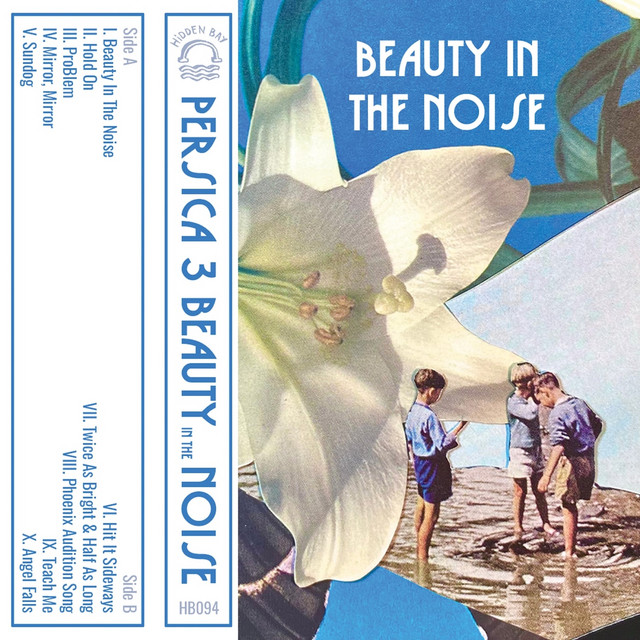 Beauty In The Noise cover art