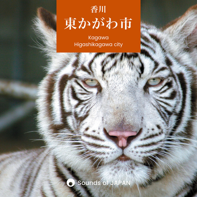 Sounds of JAPAN