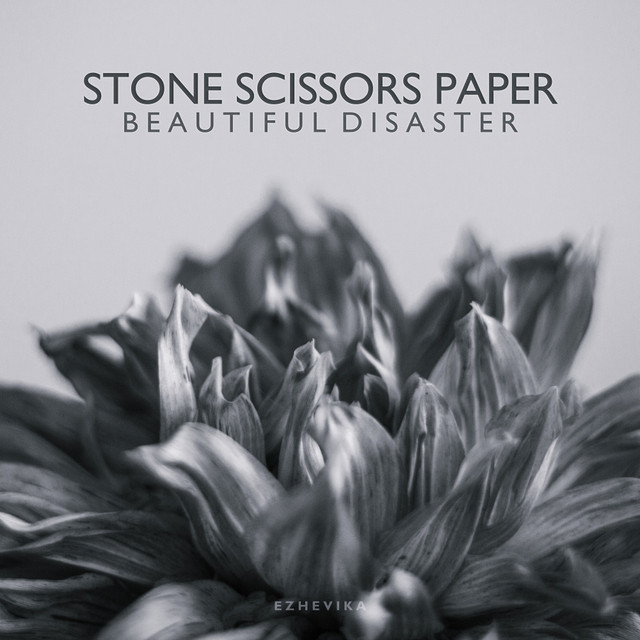Beautiful Disaster cover