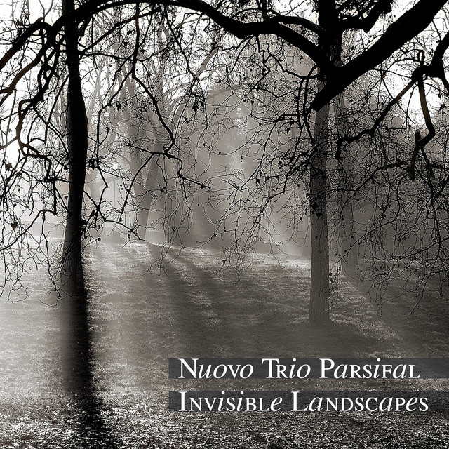 Invisible Landscapes cover art