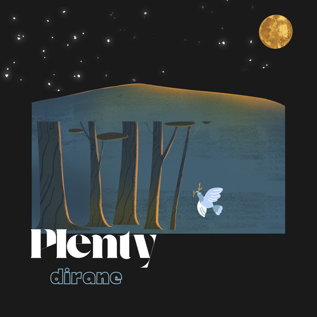 Plenty cover art
