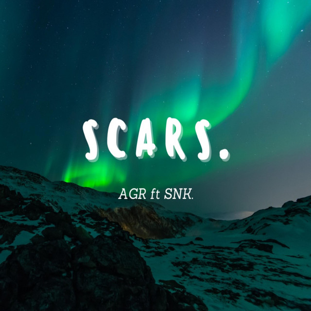 Scars. cover art