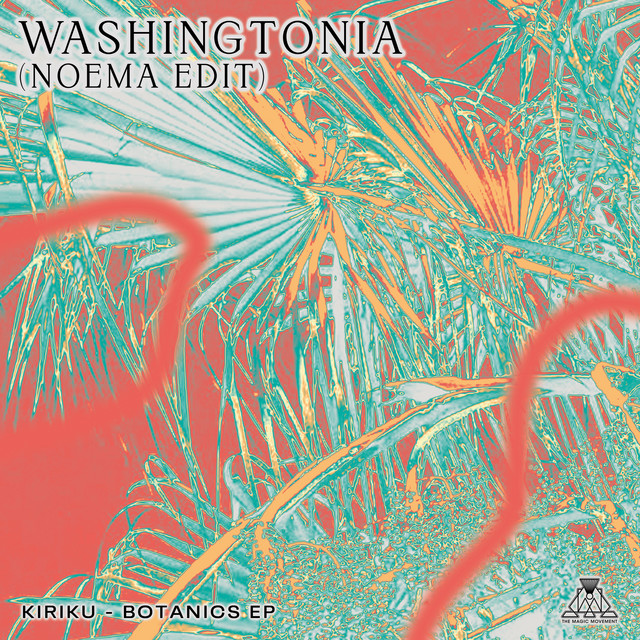 Washingtonia - Noema Edit