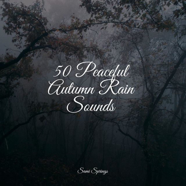 50 Peaceful Autumn Rain Sounds - Album by White Noise Sleep Sounds ...