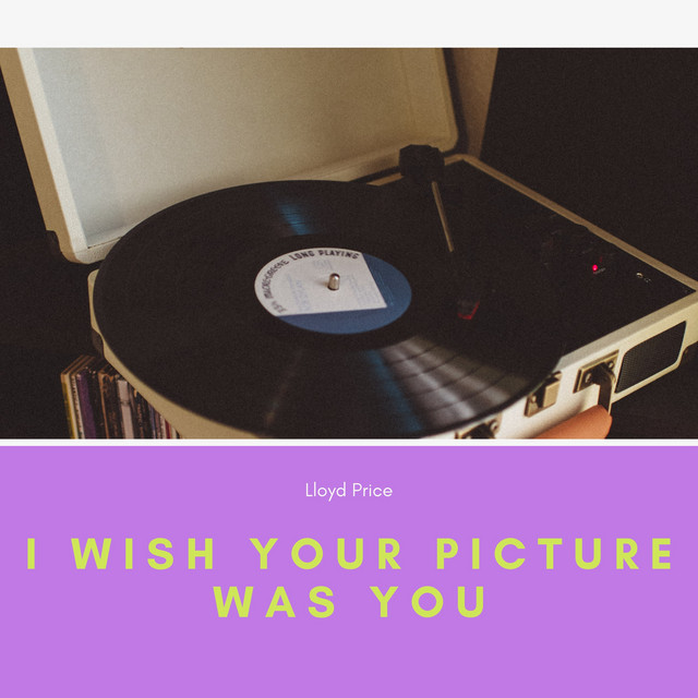 I Wish Your Picture Was You cover art