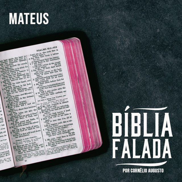 Bíblia Falada: Mateus cover art