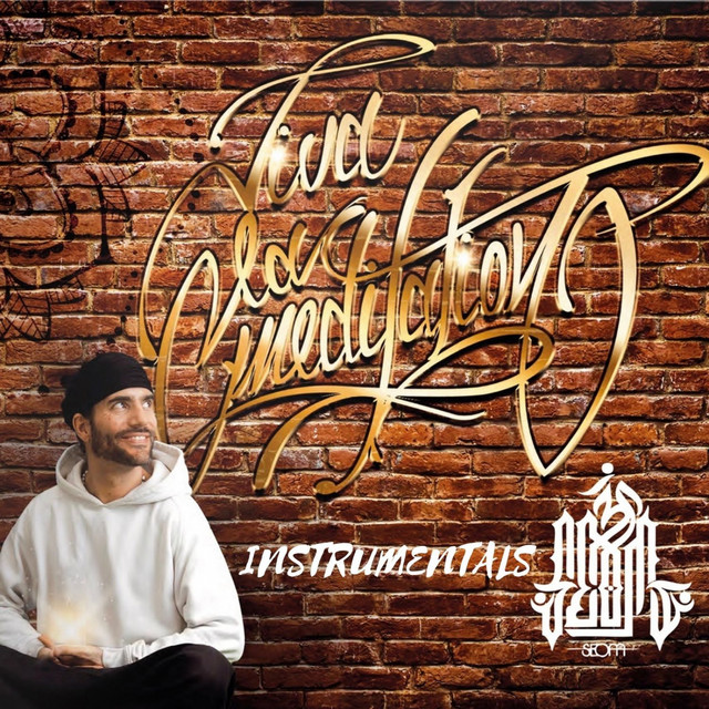 Viva la Meditation (Instrumentals) cover art