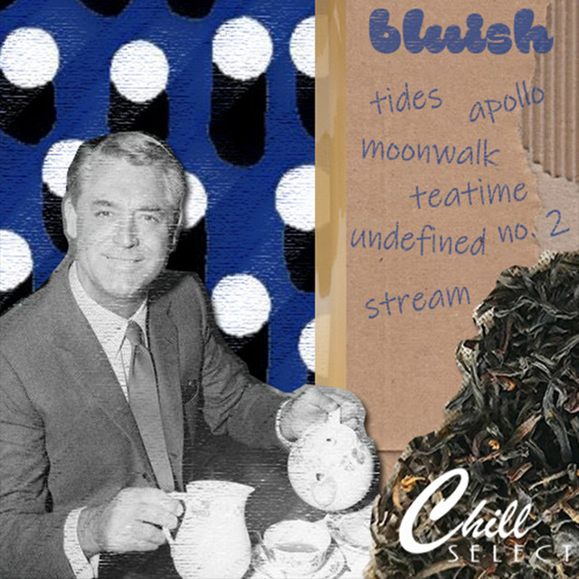 bluish cover art