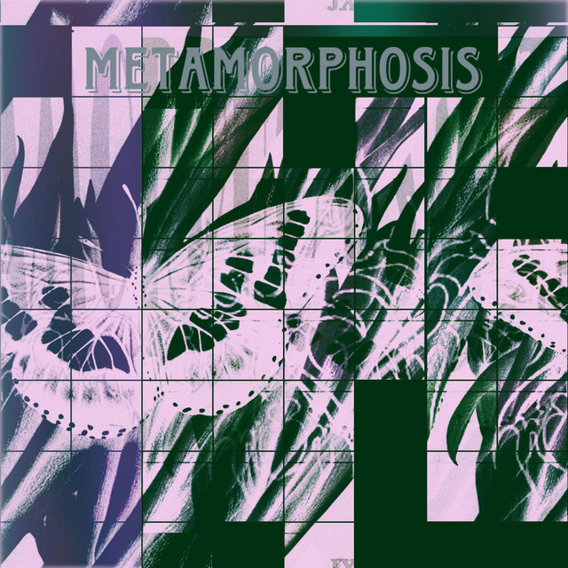 Metamorphosis cover art