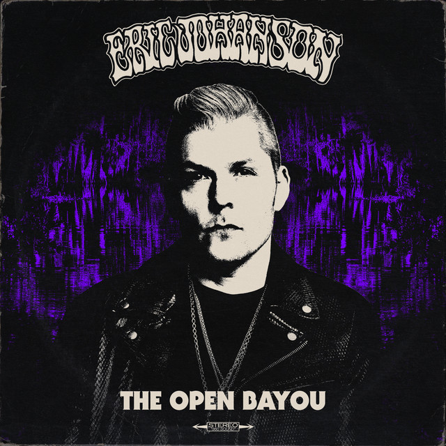The Open Bayou cover