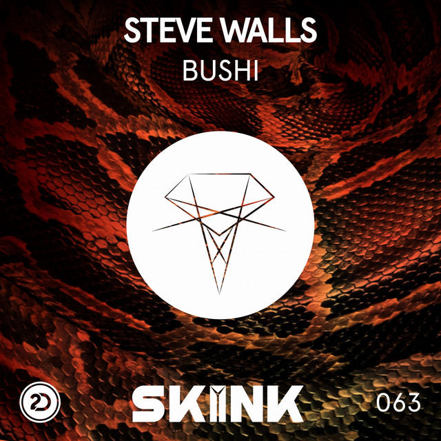 Bushi - Extended Mix album art