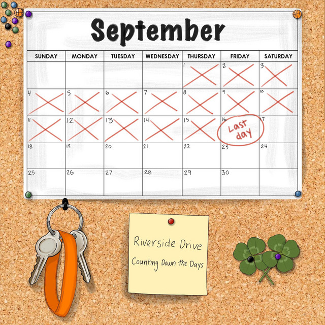 Counting Down the Days cover