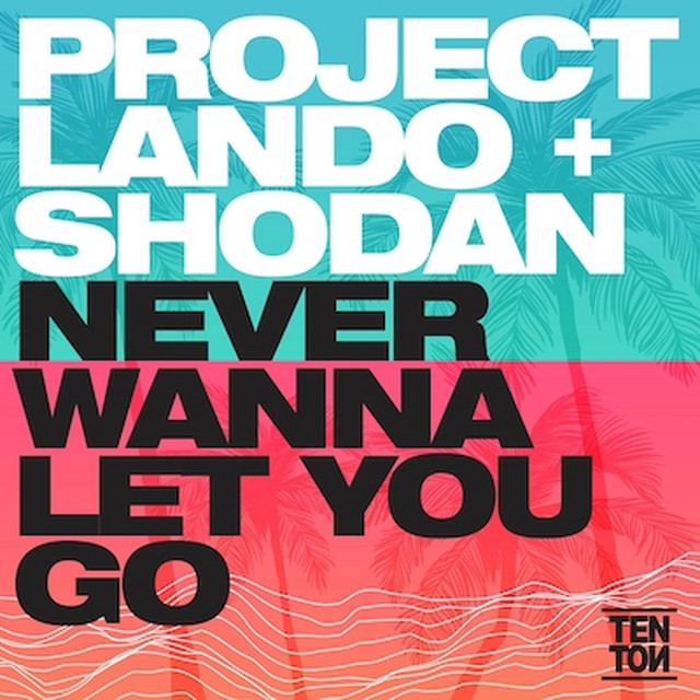 Never Wanna Give You Up artwork