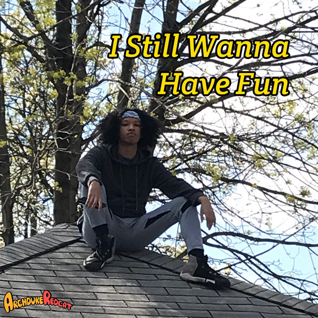 Have Fun cover art