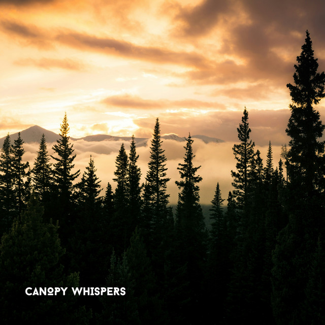 Canopy Whispers