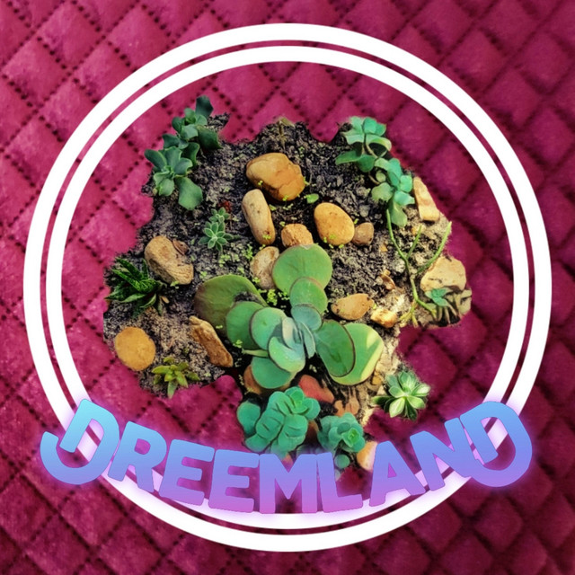 Dreemland cover art