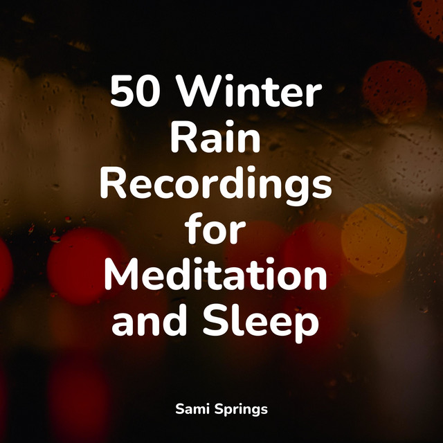 50 Winter Rain Recordings for Meditation and Sleep - Album by Sleepy ...