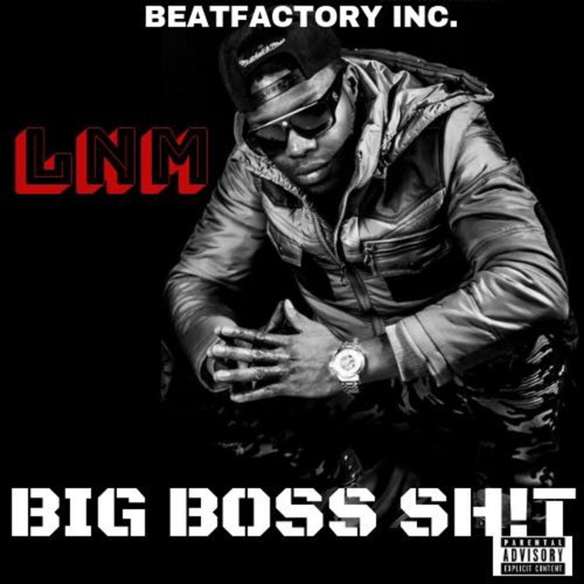 BIG Boss Shit cover art