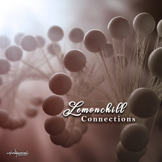Connections cover