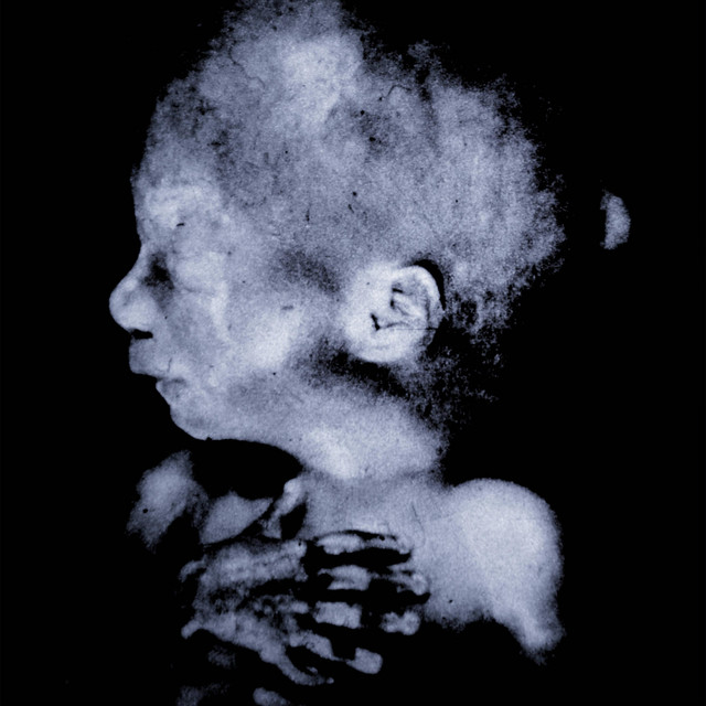 VERGE OF EXTINCTION cover art