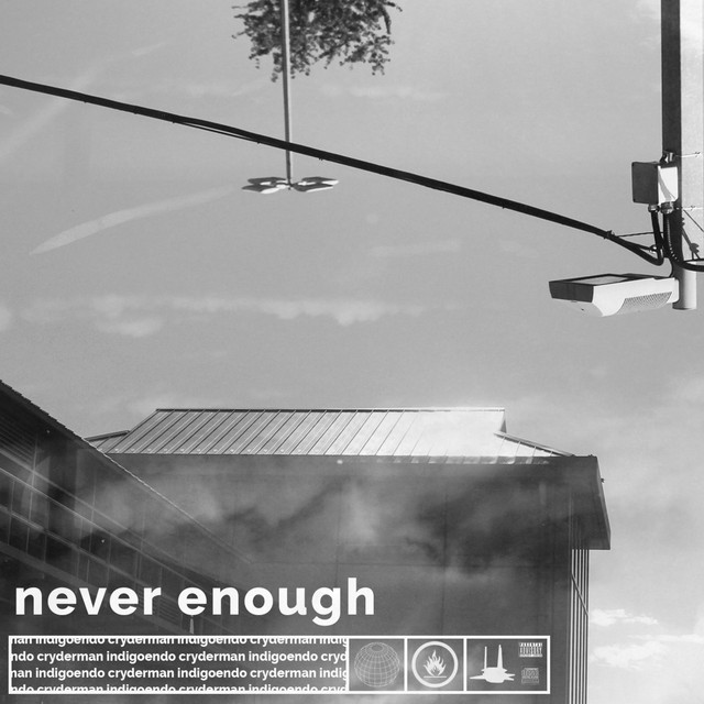 Never Enough cover art