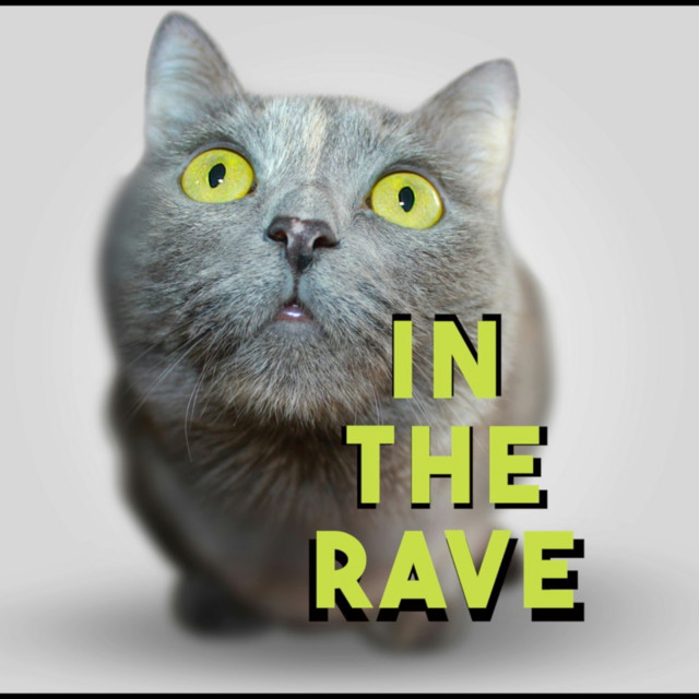 In The Rave