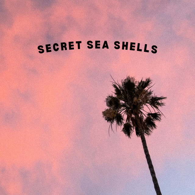 Secret Sea Shells