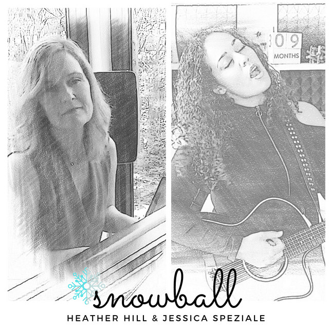Snowball cover