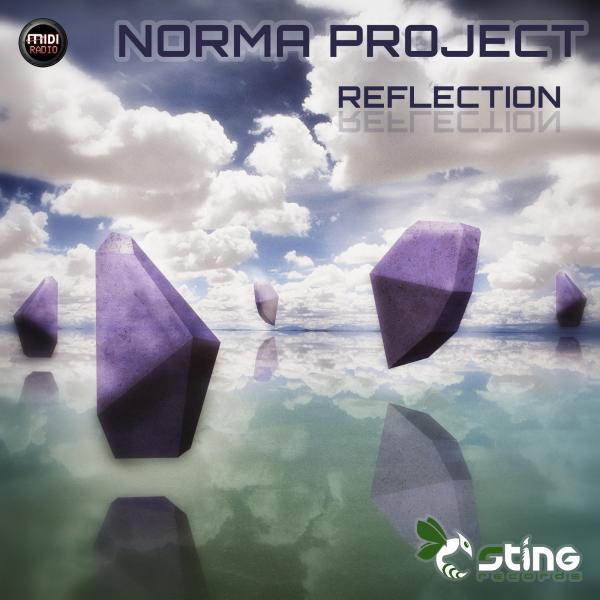 Reflection cover art