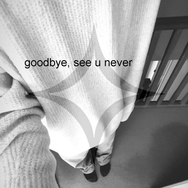 goodbye, see u never cover art