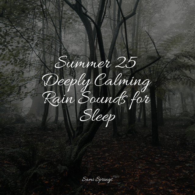 Summer 25 Deeply Calming Rain Sounds for Sleep - Album by Sonido de ...
