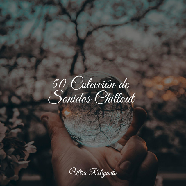 Musica Para Meditacion Profunda