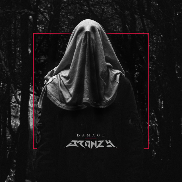 Damage by BRONZY