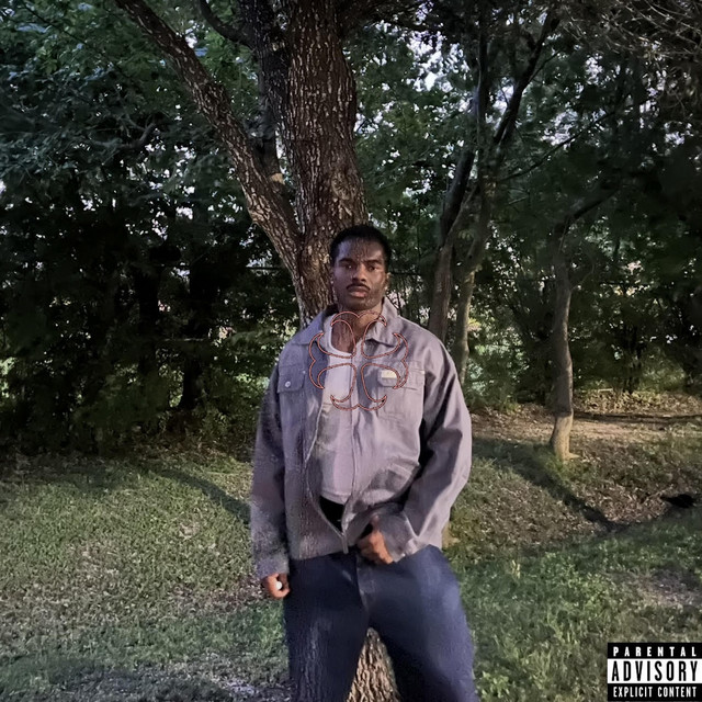 ANY AT ALL album image