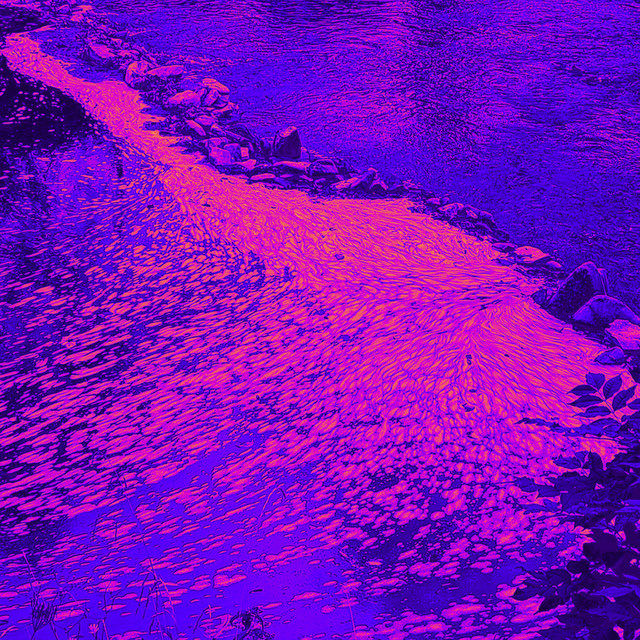 Bloom