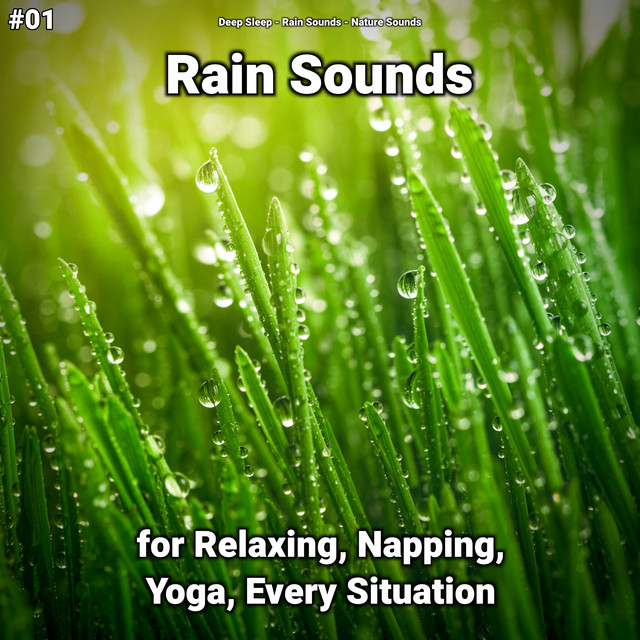 #01 Rain Sounds for Relaxing, Napping, Yoga, Every Situation cover art