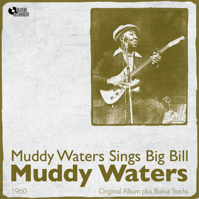 CD Muddy Waters Sings Big Bill Broonzy