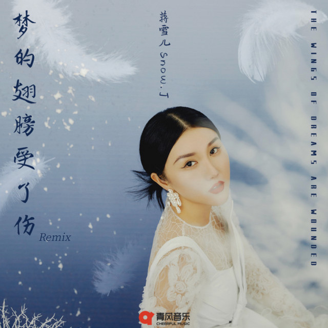梦的翅膀受了伤 (Remix) cover