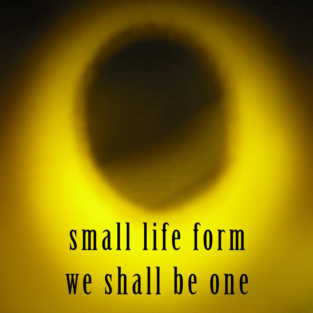Small Life Form Photo