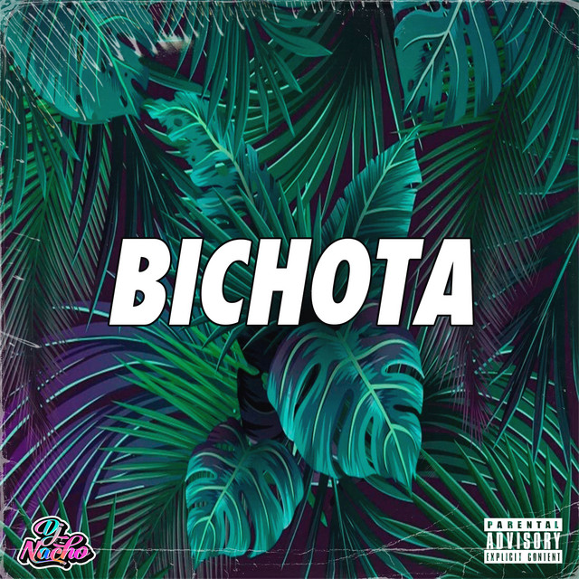 Bichota - Remix