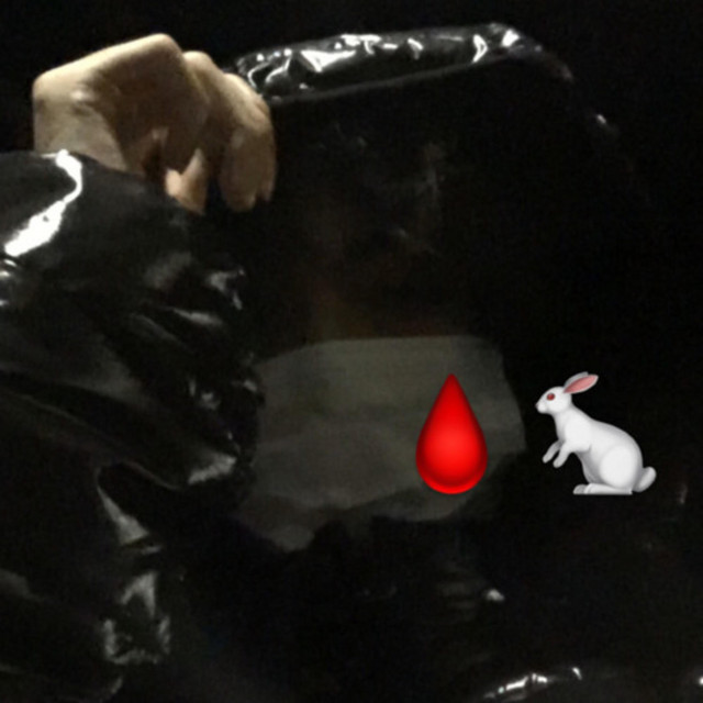 Bloody Rabbit cover art