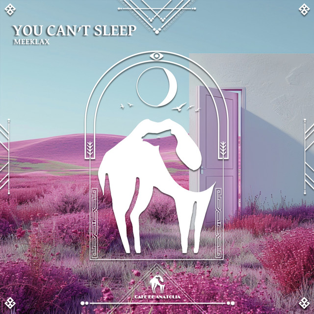Обкладинка: You Can’t Sleep — MeekLaX