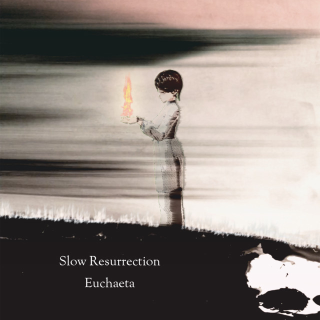 Slow Resurrection cover art