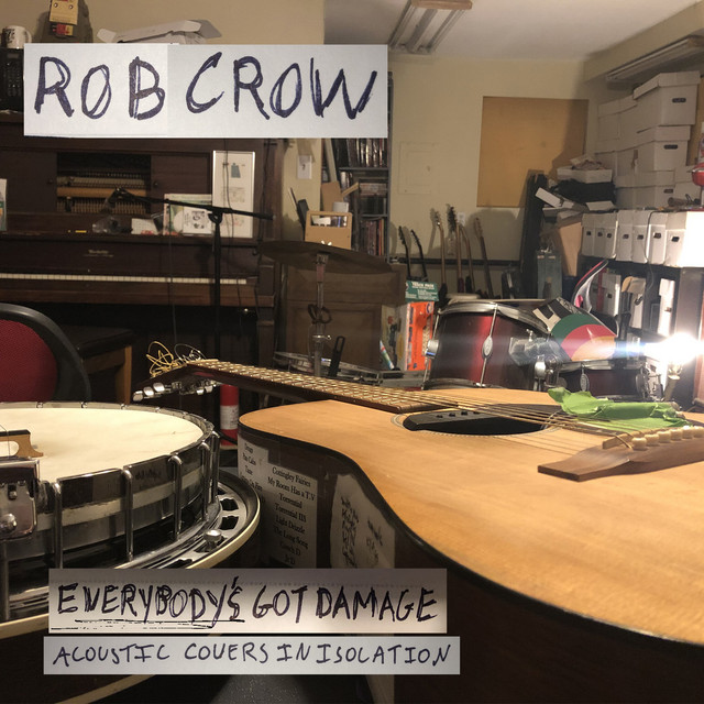 Everybody's Got Damage cover art