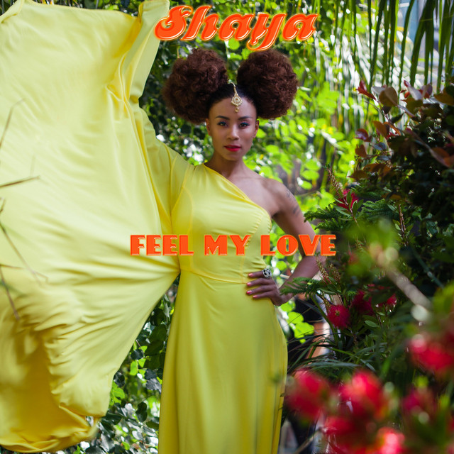 Feel My Love cover