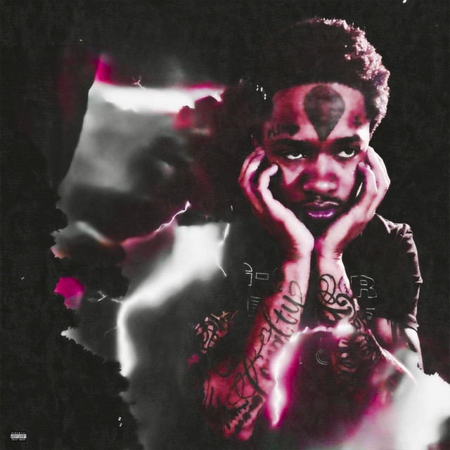 Fly cover art
