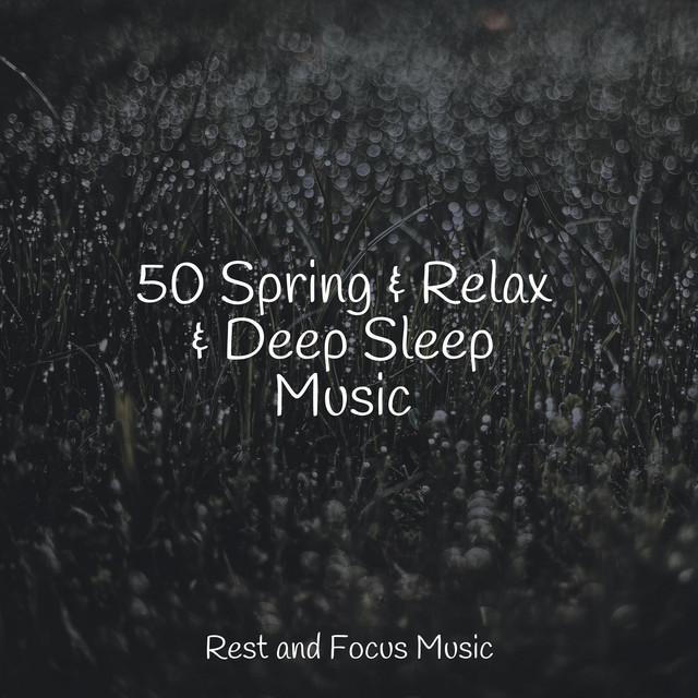 50 Spring & Relax & Deep Sleep Music - Album by Yoga Soul | Spotify